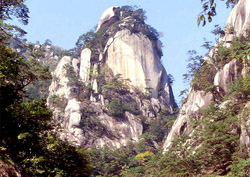 �R�����@���勬�ʐ^